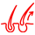 saç ekim icon-1